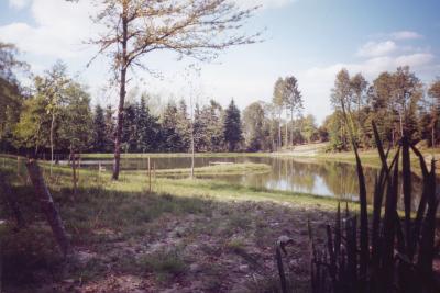 L'&eacute;tang priv&eacute; de Nadine et Georges MACARY&nbsp;&agrave; Conc&egrave;ze