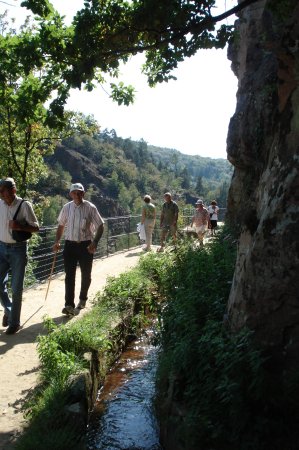 Les amateurs de nature appr&eacute;cieront les sentiers de randonn&eacute;e ou les petits ruisseaux en sous bois. Dans un autre format , les cascades de Gimel, la vall&eacute;e de l'Auv&eacute;z&egrave;re avec ses forges, signes d'une autre &eacute;poque, plus loin la Vall&eacute;e de la Dordogne avec ses promenades en gabares, souvenir d'une &eacute;poque faste